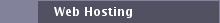 Web Hosting